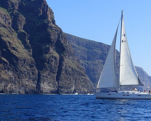 excursion dauphins en voilier a Tenerife en francais