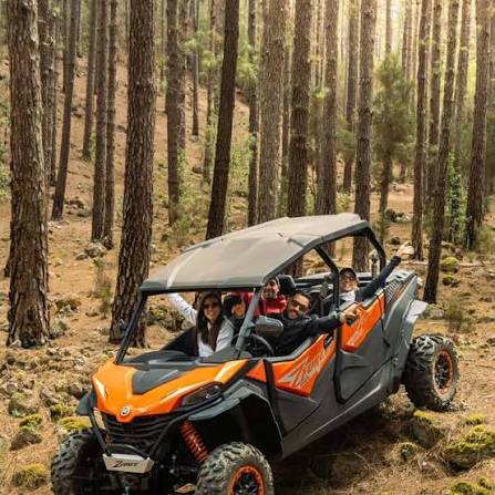buggy a tenerife dans la foret